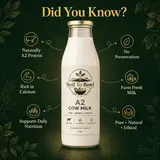 Fresh A2 cow milk for everyday family use