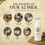 A2 cow milk quality and delivery process at Soil To Bowl