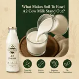 Benefits of fresh A2 cow milk from Soil To Bowl
