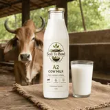 Fresh A2 cow milk from Soil To Bowl