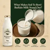 Benefits of buffalo milk for everyday use
