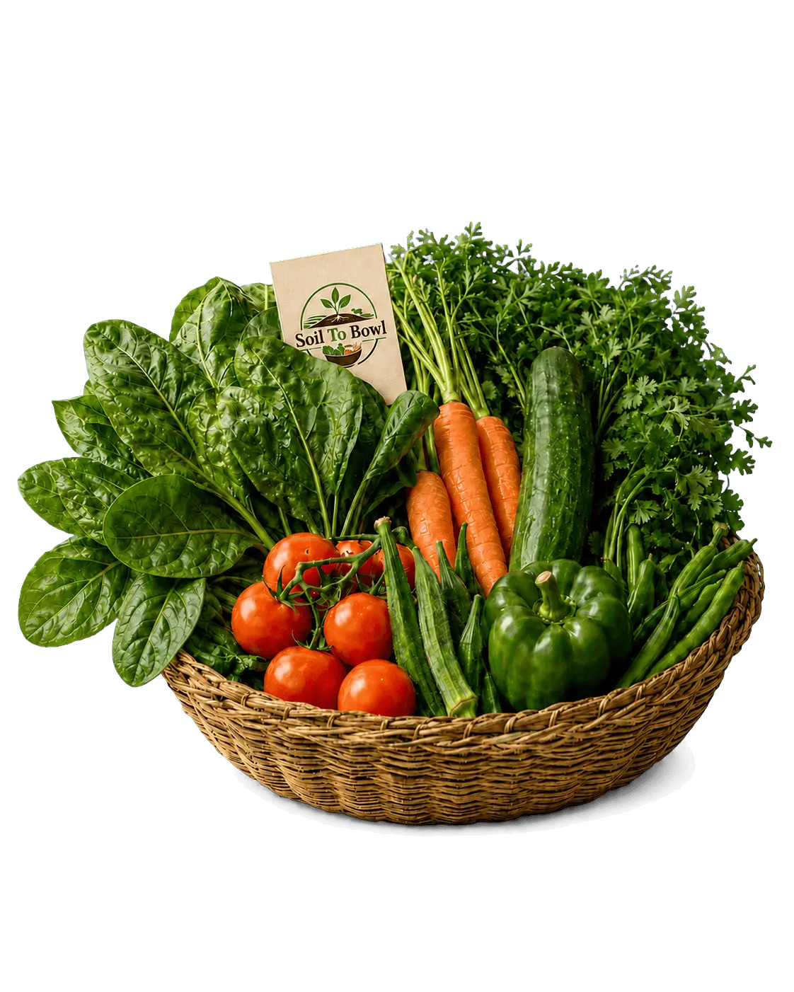 Fresh seasonal vegetable basket from Soil To Bowl